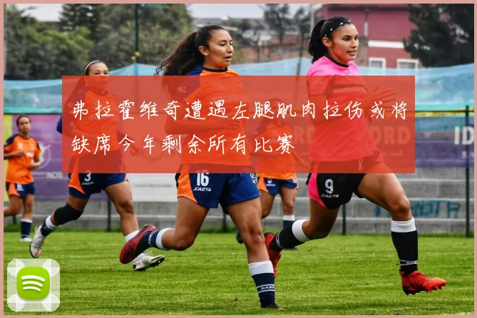 弗拉霍维奇遭遇左腿肌肉拉伤或将缺席今年剩余所有比赛