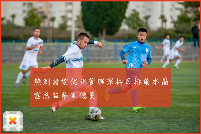热刺持续优化管理架构目标前水晶宫总监弗里德曼