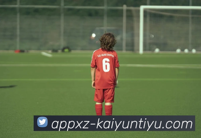 开云体育APP 封面图